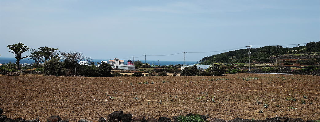 돌담하우스특징사진2