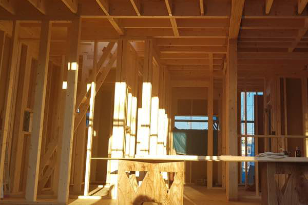 일본도쿄시공감리사진