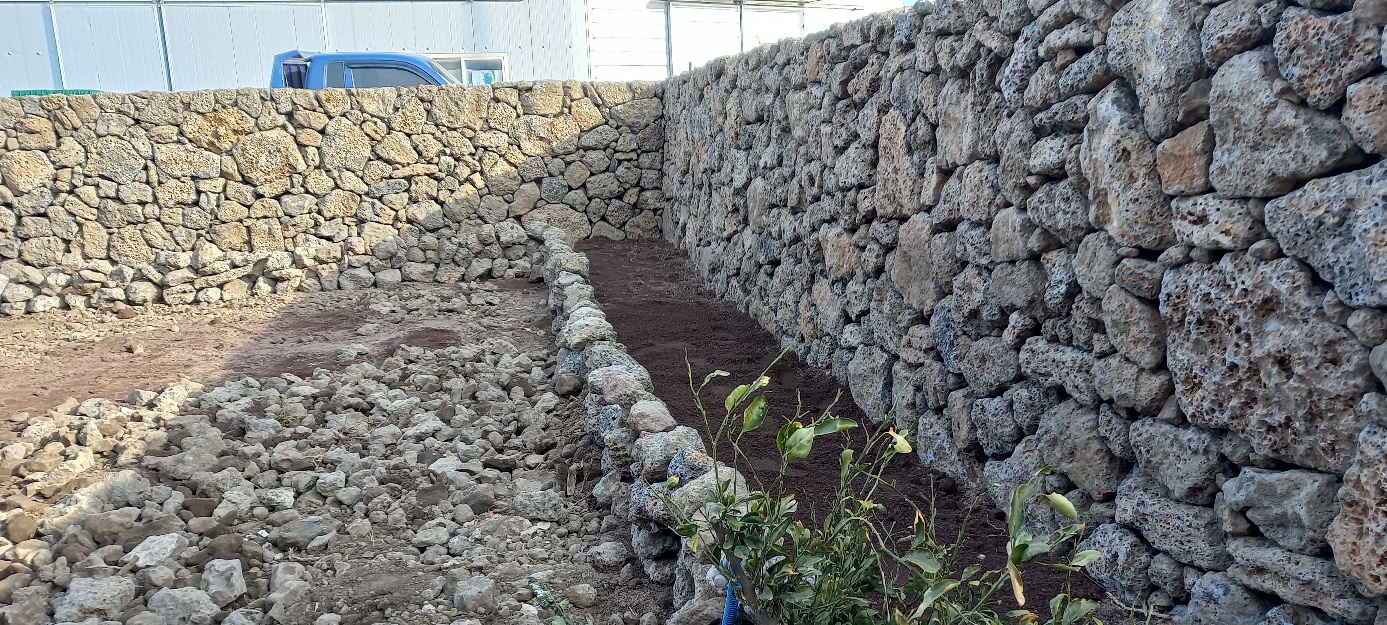 귀덕 돌담사진3