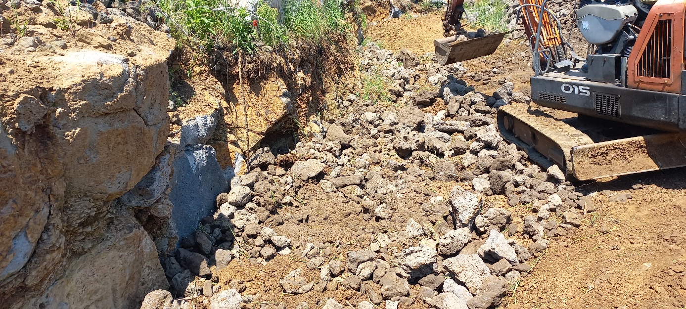 동명리 돌담사진2