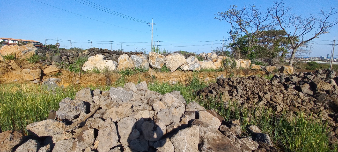 동명리 돌담사진2