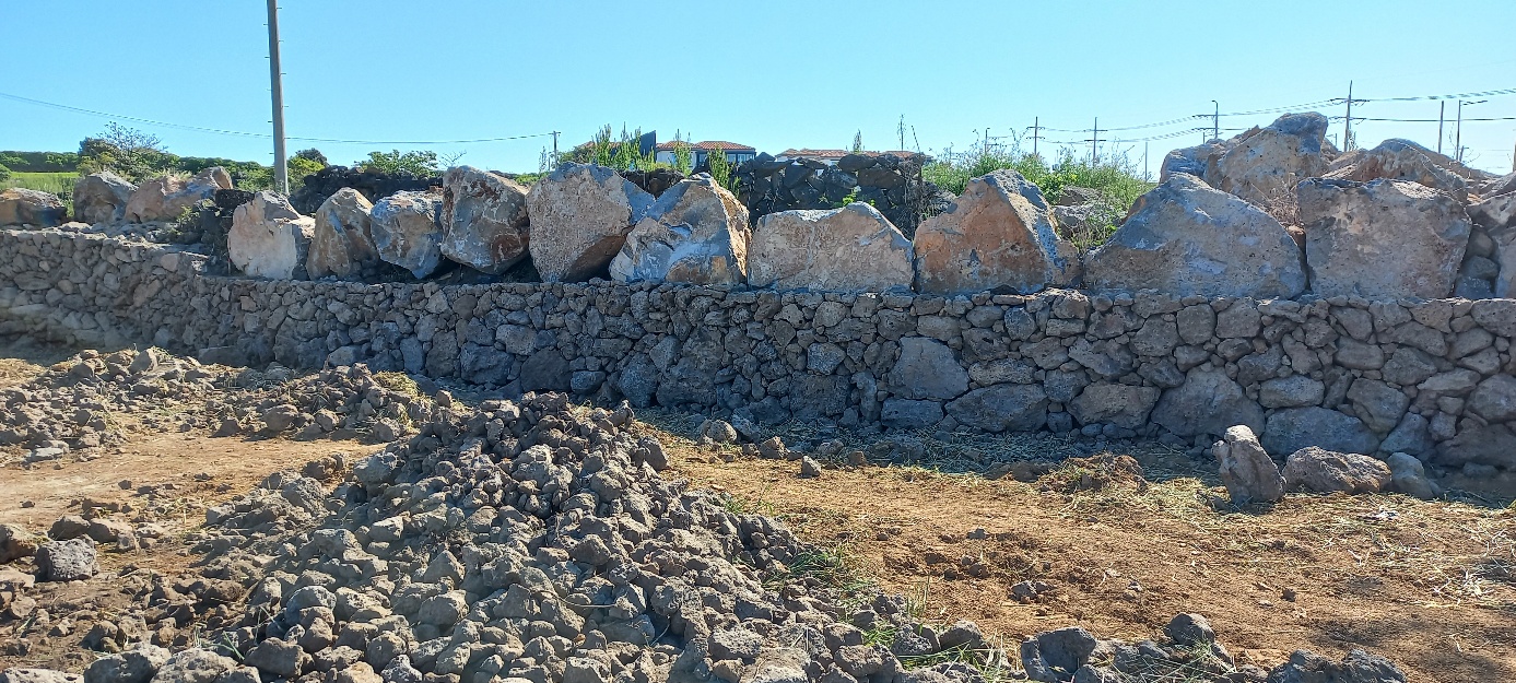 동명리 돌담사진4